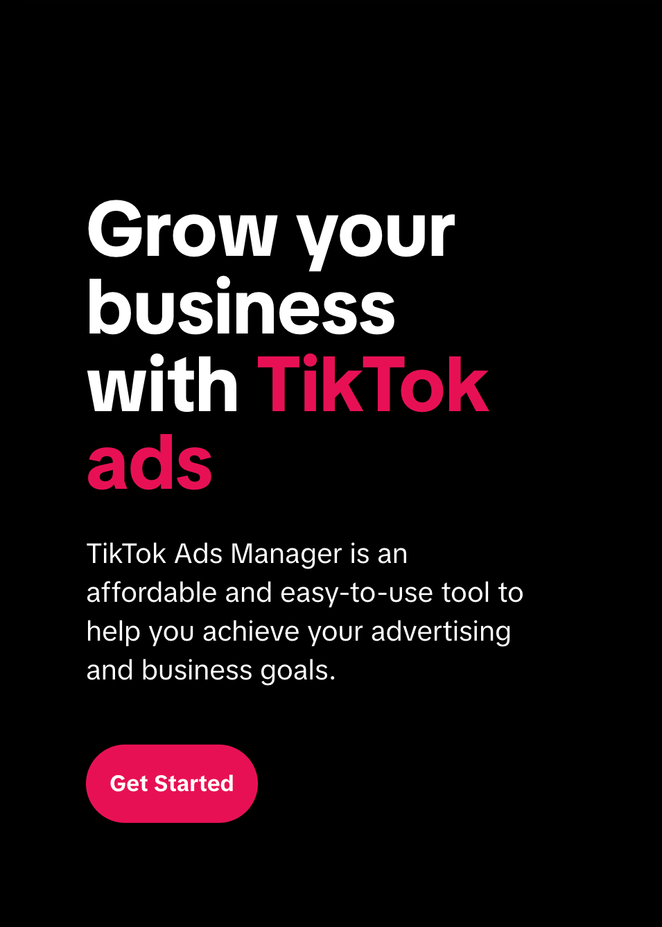 TikTok Business Manager to help with ads management